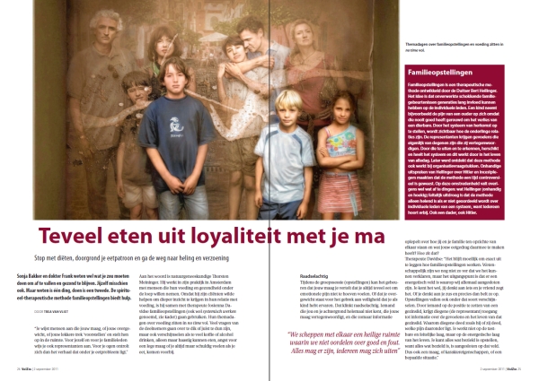 artikel VolZin artikel VolZin